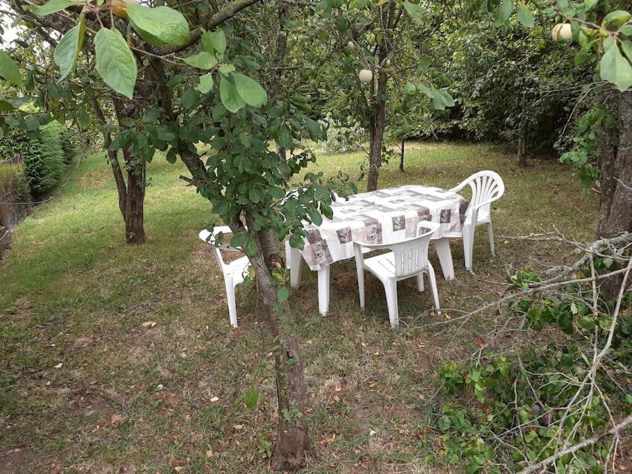 Gite Des Vergers "Les Pommiers" Saint-Pierre-du-Regard Esterno foto